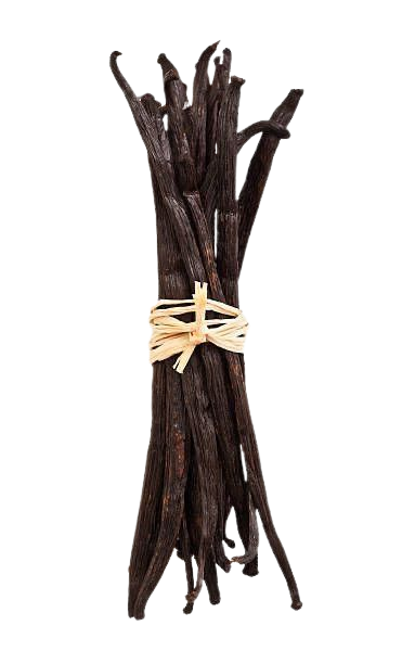Bundle of Planifolia vanilla beans