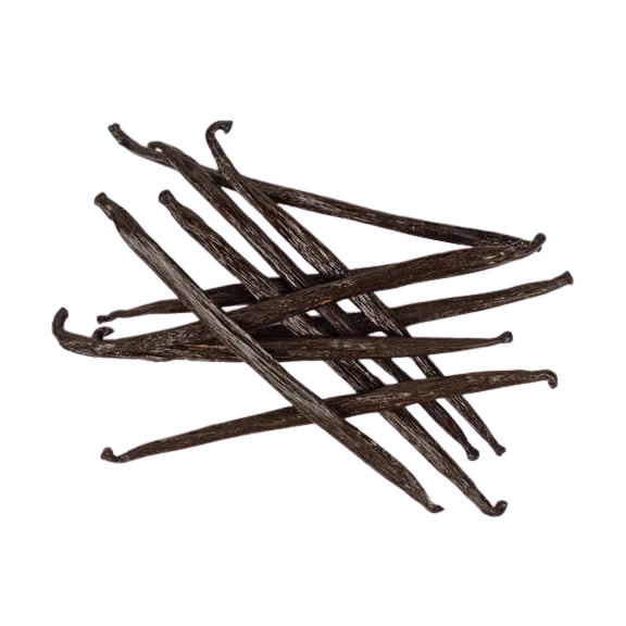 Tahitensis vanilla beans